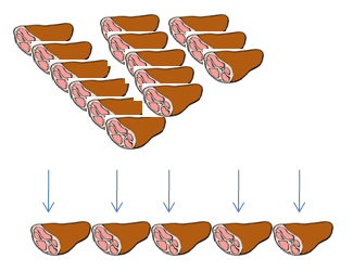 Illustration showing five unopened samples of meat products suitable for testing.